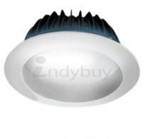 Philips No Mercury White LED Light (10 Watts)